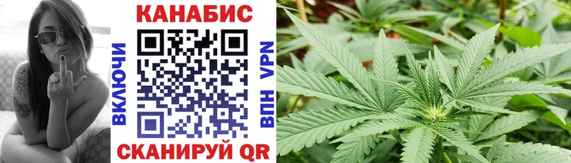 закладки Устюжна Конопля сатива